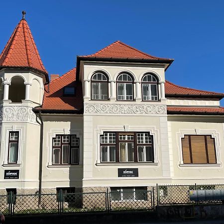 Vila Marioara Сибиу Экстерьер фото